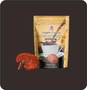 Lingzhi Black Coffee 2 in 1